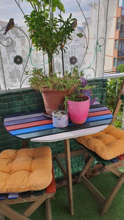 Holidays In Florence Hotel Ngoại thất bức ảnh